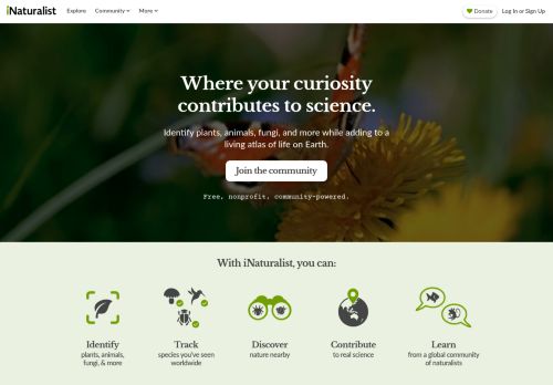 Screenshot of the audited page (Desktop 1440×900)