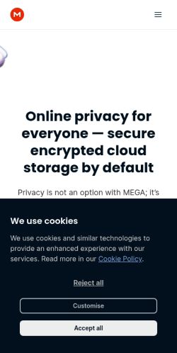 Screenshot of the audited page (Mobile 375×812)