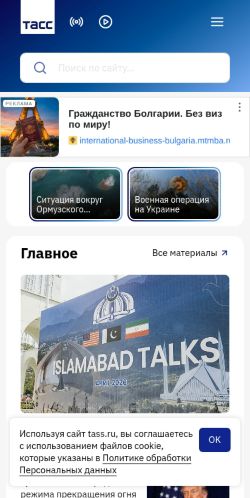 Screenshot of the audited page (Mobile 375×812)