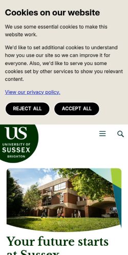 Screenshot of the audited page (Mobile 375×812)