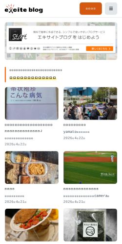 Screenshot of the audited page (Mobile 375×812)