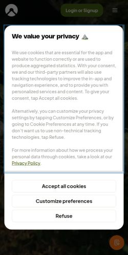Screenshot of the audited page (Mobile 375×812)