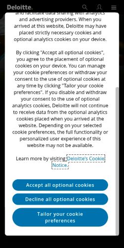 Screenshot of the audited page (Mobile 375×812)
