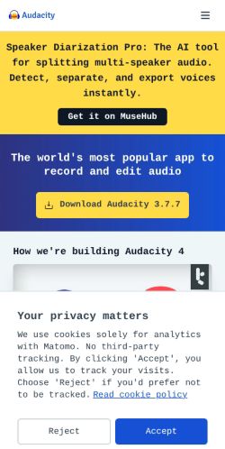 Screenshot of the audited page (Mobile 375×812)