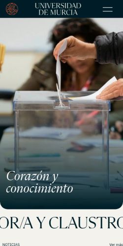 Screenshot of the audited page (Mobile 375×812)