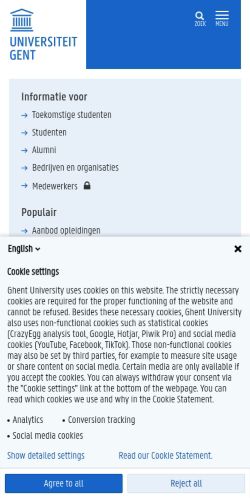Screenshot of the audited page (Mobile 375×812)