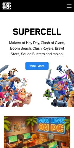 Screenshot of the audited page (Mobile 375×812)