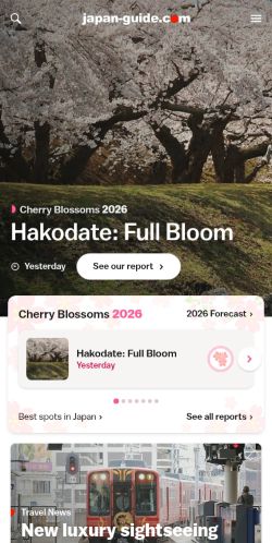 Screenshot of the audited page (Mobile 375×812)