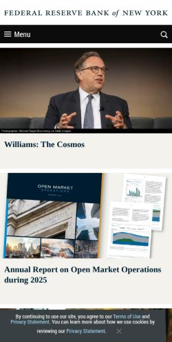 Screenshot of the audited page (Mobile 375×812)