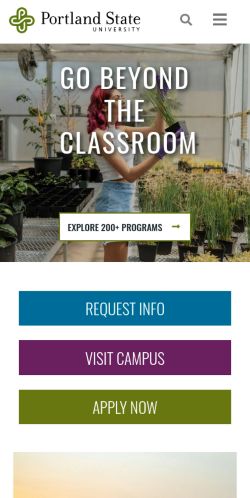 Screenshot of the audited page (Mobile 375×812)
