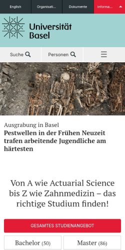 Screenshot of the audited page (Mobile 375×812)