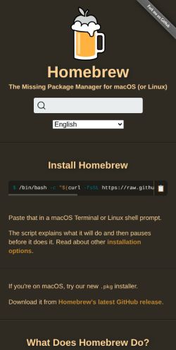 Screenshot of the audited page (Mobile 375×812)
