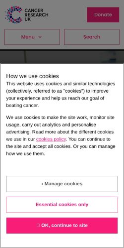 Screenshot of the audited page (Mobile 375×812)