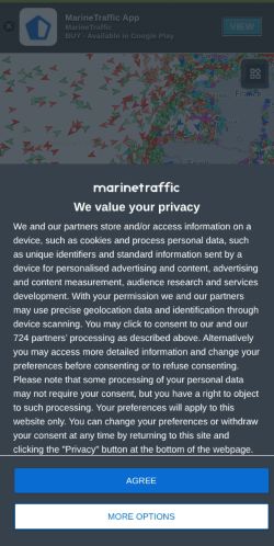 Screenshot of the audited page (Mobile 375×812)