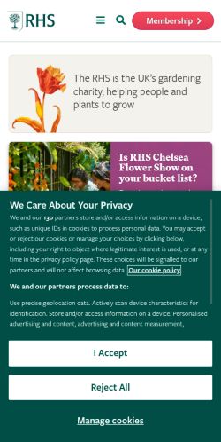 Screenshot of the audited page (Mobile 375×812)