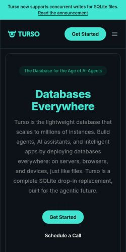 Screenshot of the audited page (Mobile 375×812)