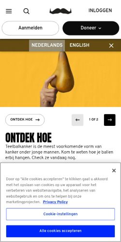 Screenshot of the audited page (Mobile 375×812)