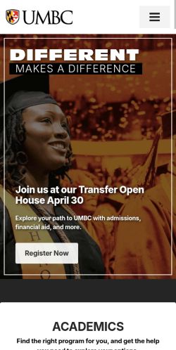 Screenshot of the audited page (Mobile 375×812)