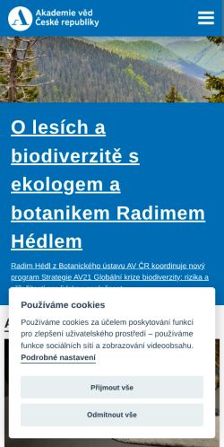 Screenshot of the audited page (Mobile 375×812)