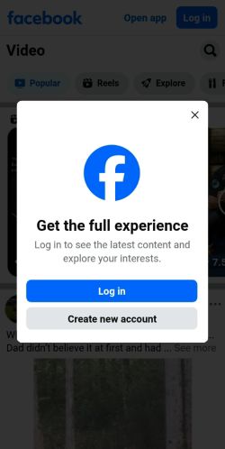 Screenshot of the audited page (Mobile 375×812)