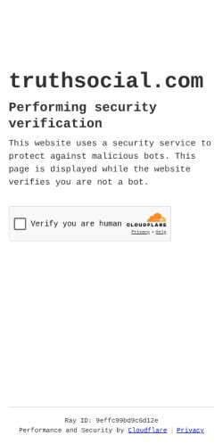 Screenshot of the audited page (Mobile 375×812)