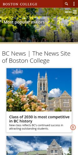 Screenshot of the audited page (Mobile 375×812)