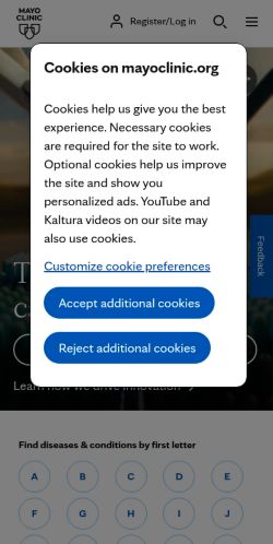 Screenshot of the audited page (Mobile 375×812)