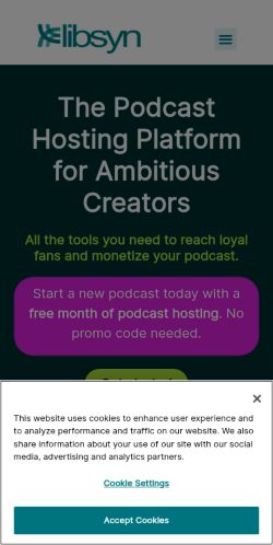 Screenshot of the audited page (Mobile 375×812)