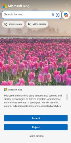 Screenshot of the audited page (Mobile 375×812)