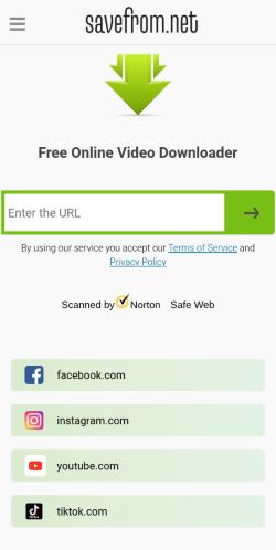 Screenshot of the audited page (Mobile 375×812)