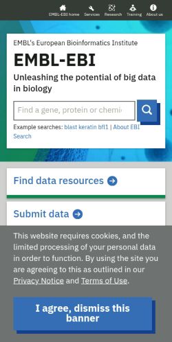 Screenshot of the audited page (Mobile 375×812)