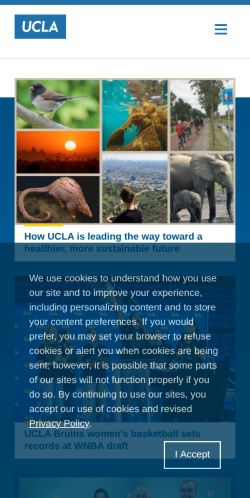 Screenshot of the audited page (Mobile 375×812)