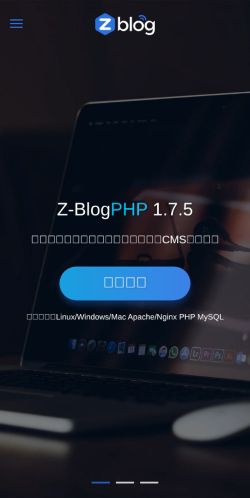 Screenshot of the audited page (Mobile 375×812)