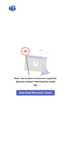 Screenshot of the audited page (Mobile 375×812)