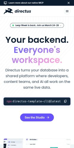 Screenshot of the audited page (Mobile 375×812)