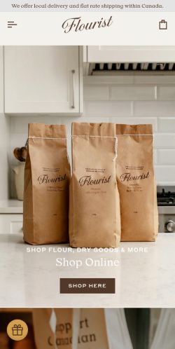 Screenshot of the audited page (Mobile 375×812)