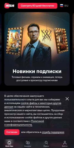 Screenshot of the audited page (Mobile 375×812)