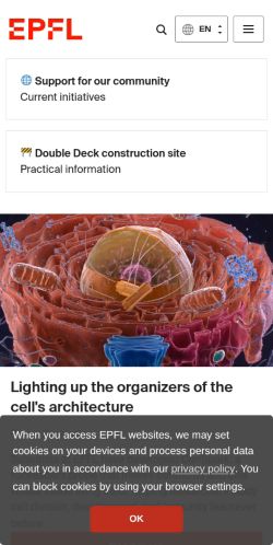 Screenshot of the audited page (Mobile 375×812)