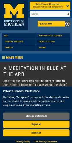 Screenshot of the audited page (Mobile 375×812)