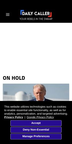 Screenshot of the audited page (Mobile 375×812)