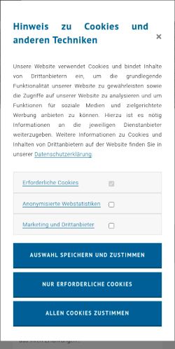 Screenshot of the audited page (Mobile 375×812)