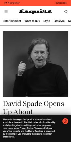 Screenshot of the audited page (Mobile 375×812)