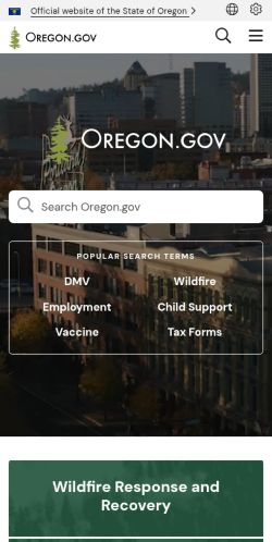 Screenshot of the audited page (Mobile 375×812)