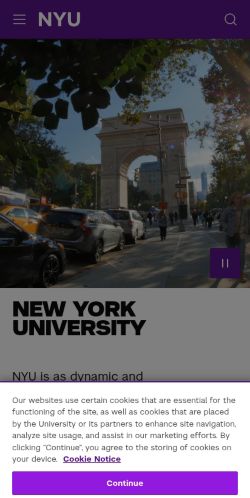 Screenshot of the audited page (Mobile 375×812)
