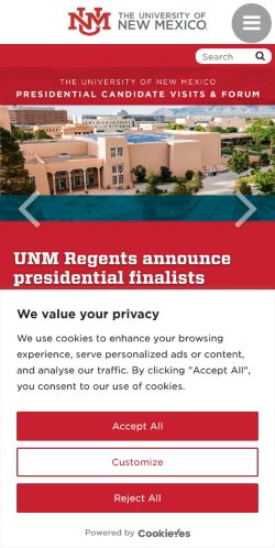 Screenshot of the audited page (Mobile 375×812)