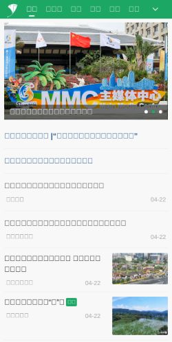 Screenshot of the audited page (Mobile 375×812)