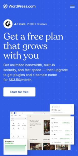 Screenshot of the audited page (Mobile 375×812)
