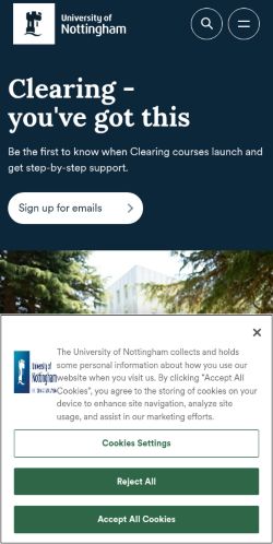 Screenshot of the audited page (Mobile 375×812)