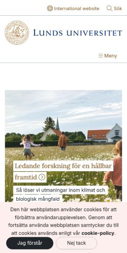 Screenshot of the audited page (Mobile 375×812)