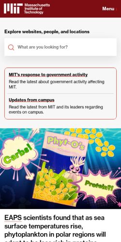 Screenshot of the audited page (Mobile 375×812)